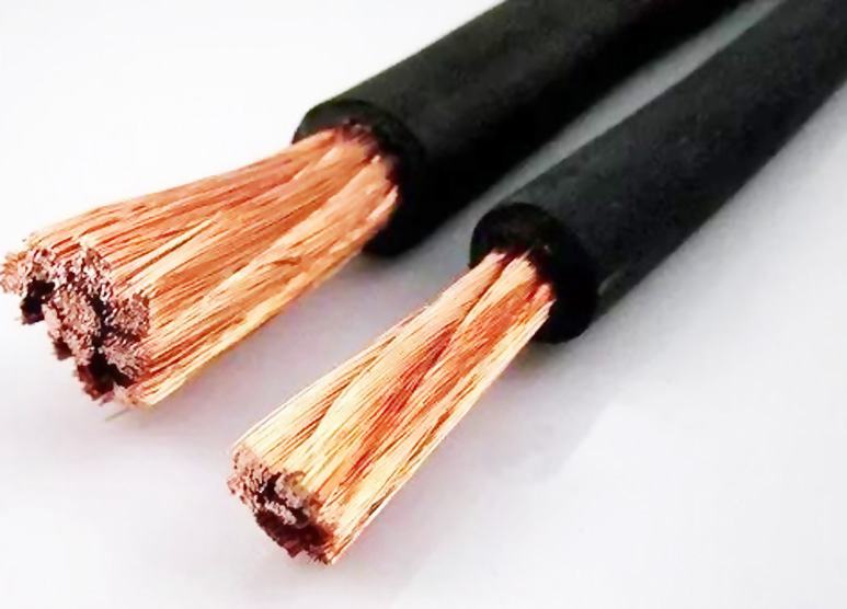 广东会 技术 导体